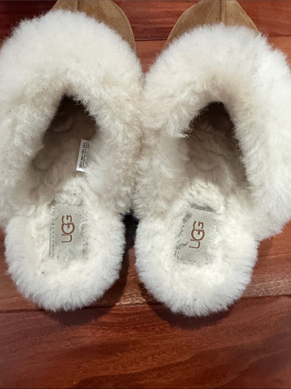 Authentic Disquette UGG Slippers - Picture 4 of 10